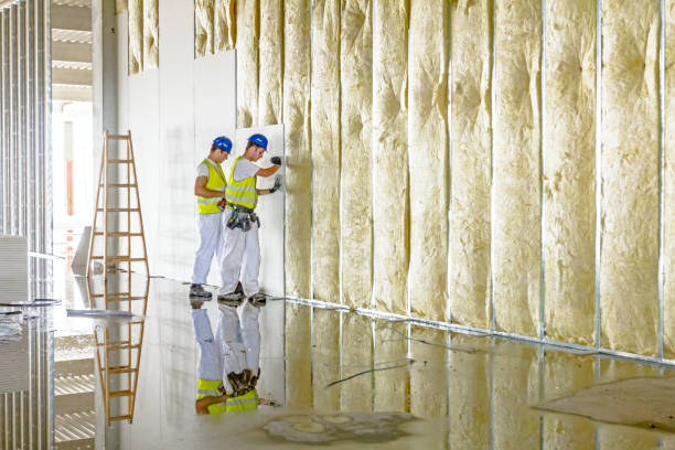 Professional Insulation Contractor in AR